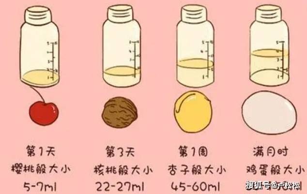 3个月吃多少毫升