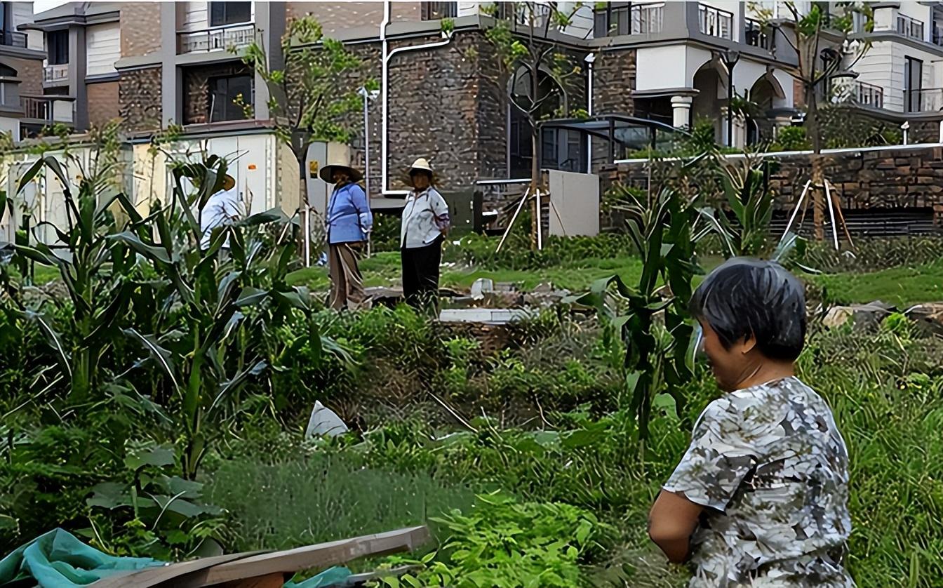 江苏科技大学拆迁