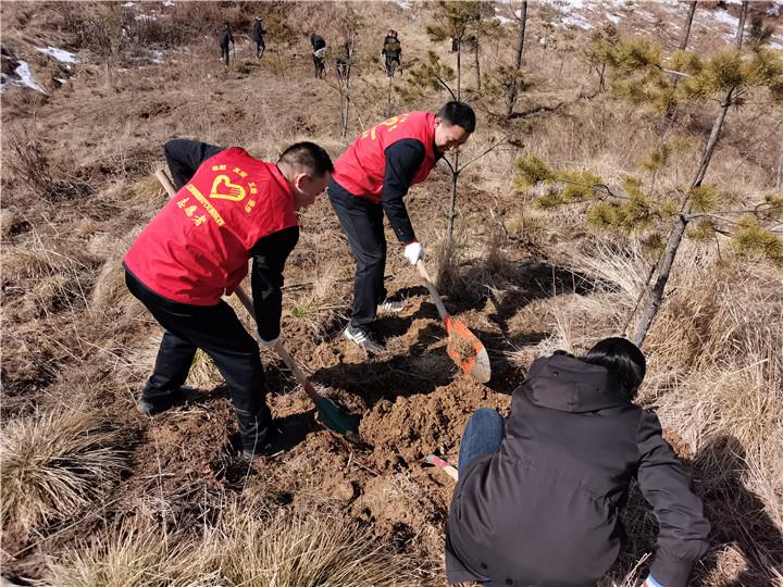 江苏杉树科技集团