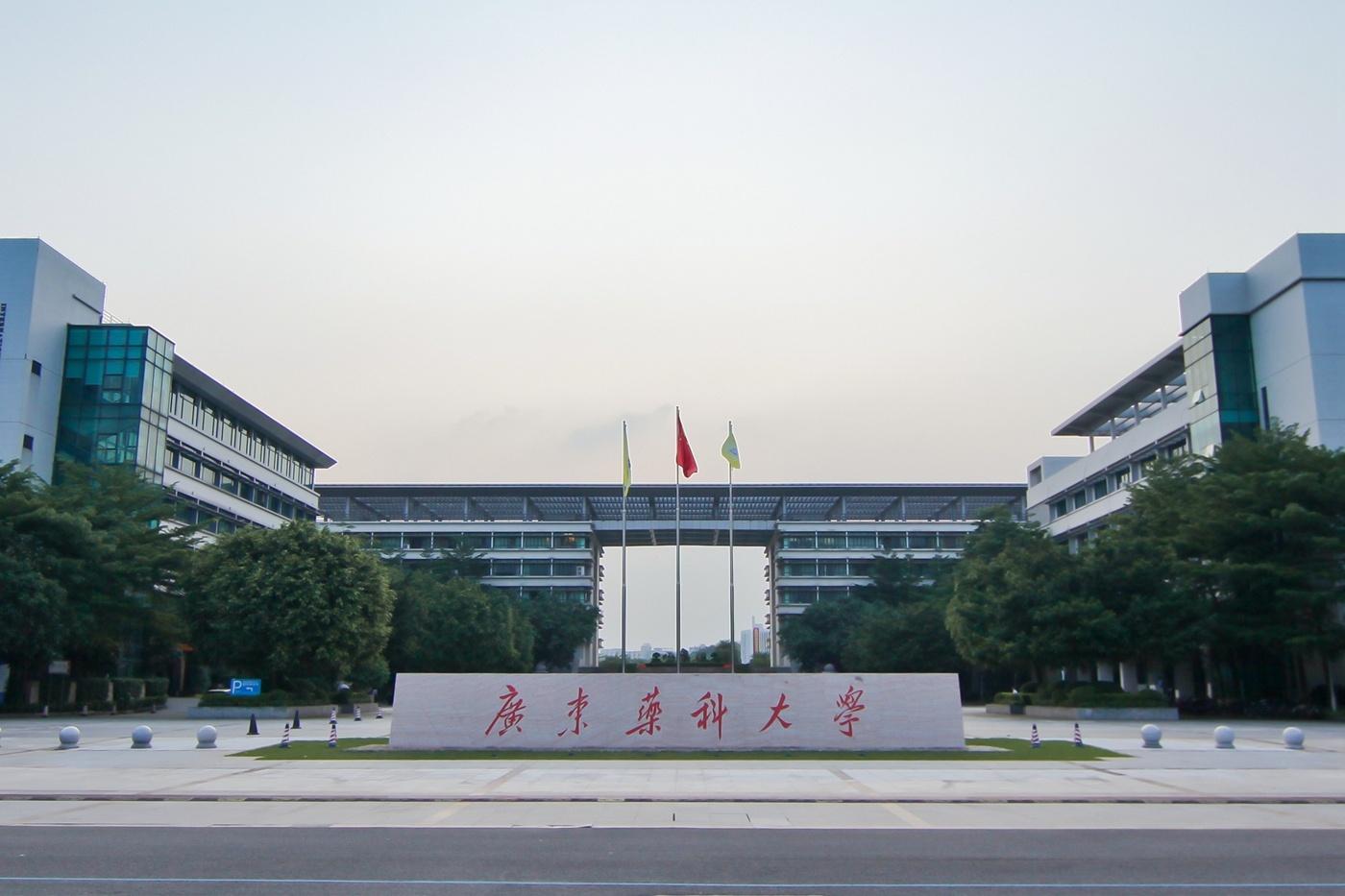 广东省药学会变研